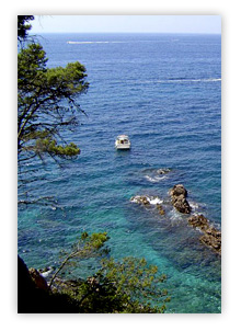 Viajar a Blanes