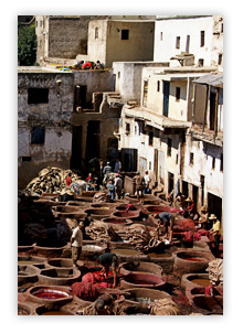 Viajar a Fez